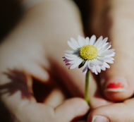 Person holding out a little flower.  Image available on Unsplash.